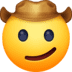 :cowboy_hat_face: :cowboy_hat_face: